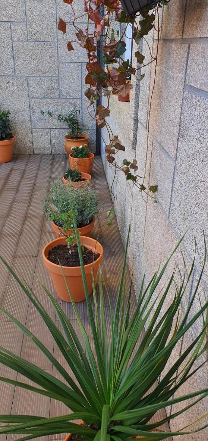 Ferienwohnung O Terraco Florido Viseu Exterior foto